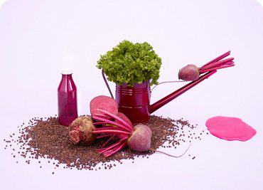 Claritas est etiam processus dynamicus.